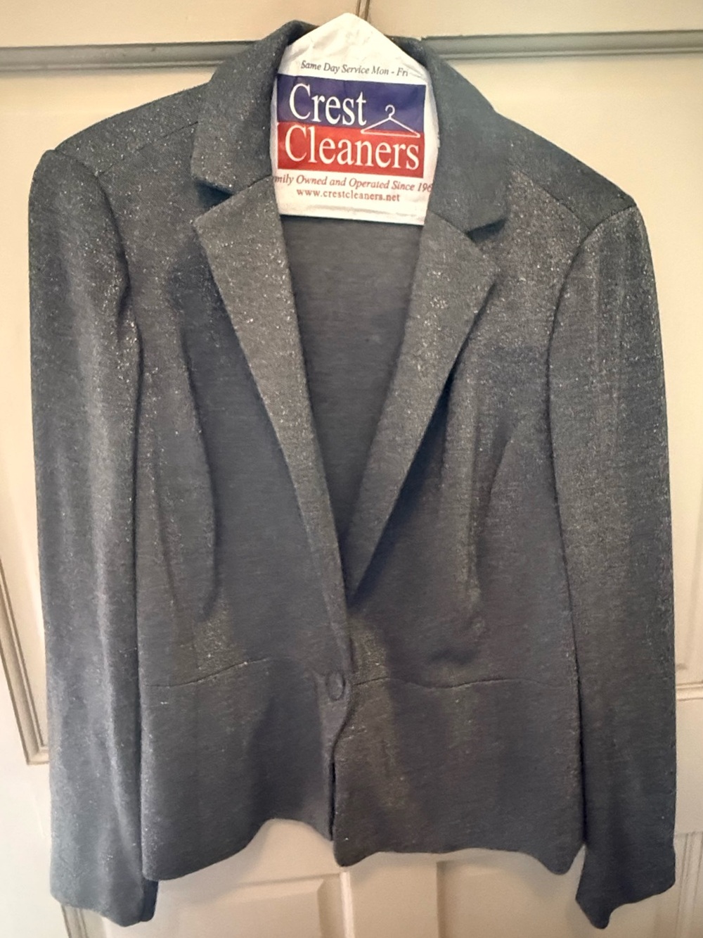 Lane Bryant Metallic Gray Blazer with Sparkle